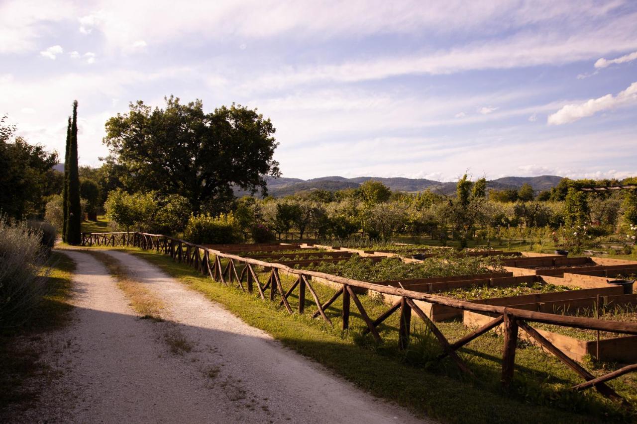 Cuprena Vila Arezzo Exterior foto