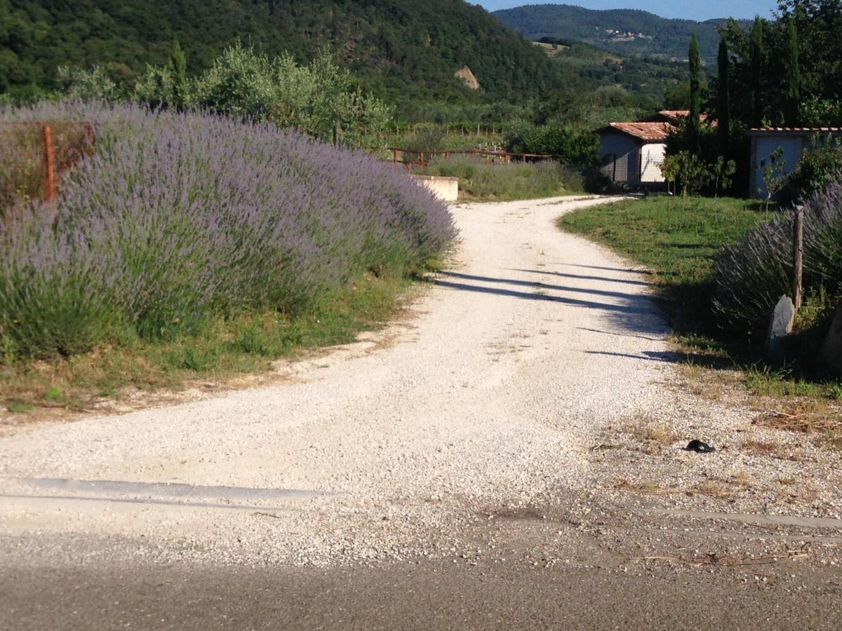 Cuprena Vila Arezzo Exterior foto