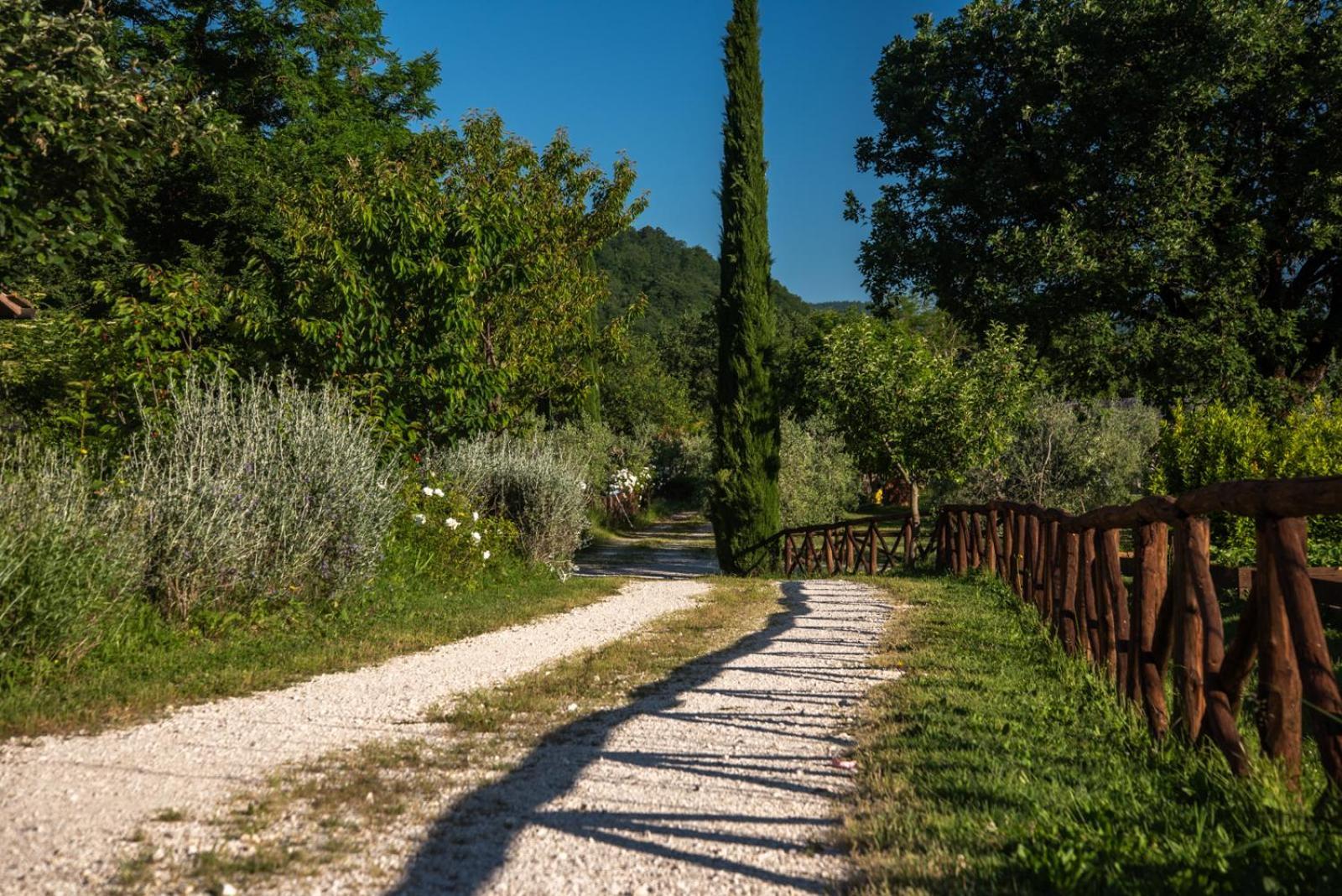 Cuprena Vila Arezzo Exterior foto